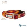 PetGlam Dog Collar-Blaze