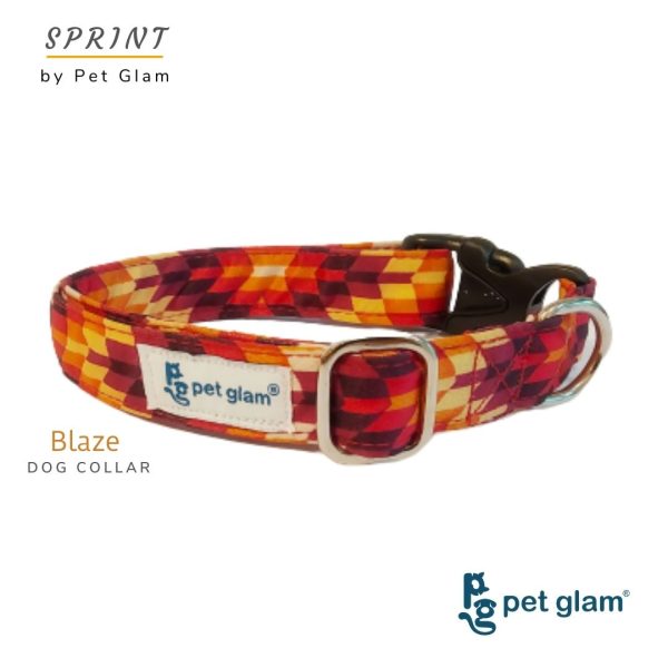 PetGlam Dog Collar-Blaze