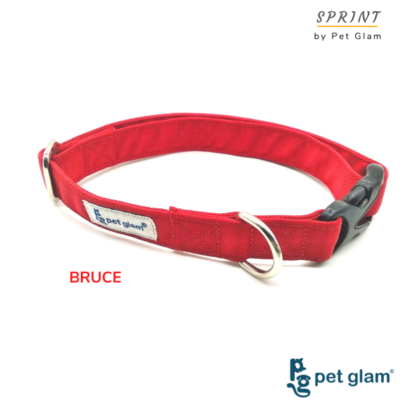 PetGlam Dog Collar Solid