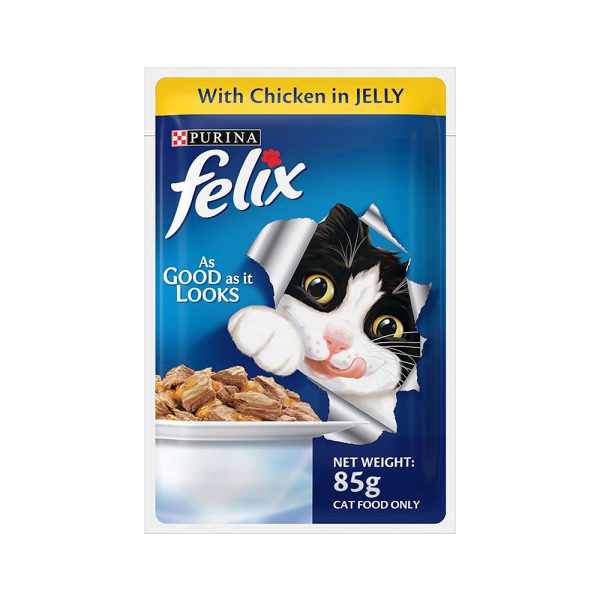 Felix Adult With Chicken