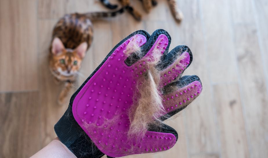 Bathing Hand Gloves For Dog and Cats - Shop online lucknow uttar pradesh