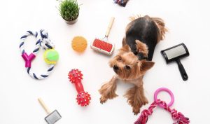 pet accessories dogs cats accessories pet care products